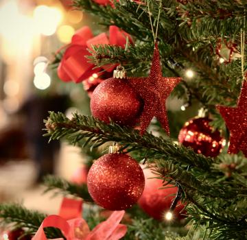 FESTIVE SEASON AT THE BURDIGALA